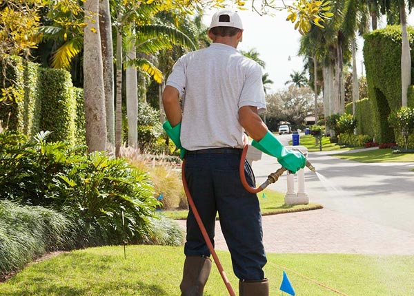 About Gateway AR Pest Control Pros